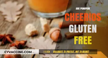 Are Pumpkin Cheerios Gluten-Free? A Complete Guide for Celiacs
