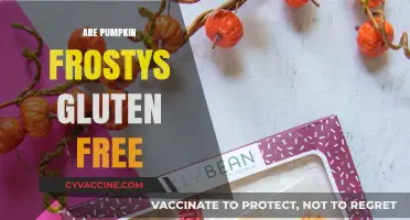Are Pumpkin Frostys Gluten-Free? A Complete Guide for Celiac Diners