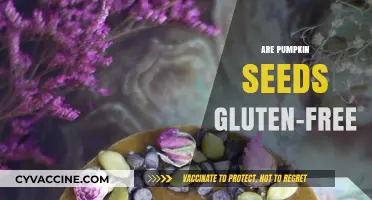 Are Pumpkin Seeds Gluten-Free? A Comprehensive Guide for Celiacs