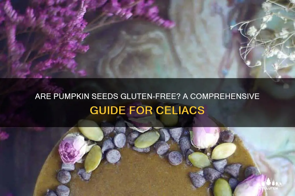 are pumpkin seeds gluten-free