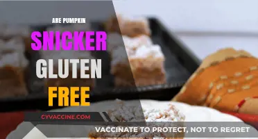 Are Pumpkin Snickers Gluten-Free? A Sweet Treat Investigation