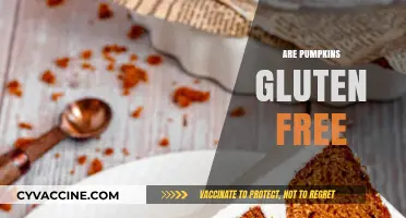 Are Pumpkins Gluten-Free? A Complete Guide to Pumpkin Safety