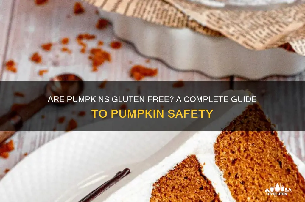 are pumpkins gluten free