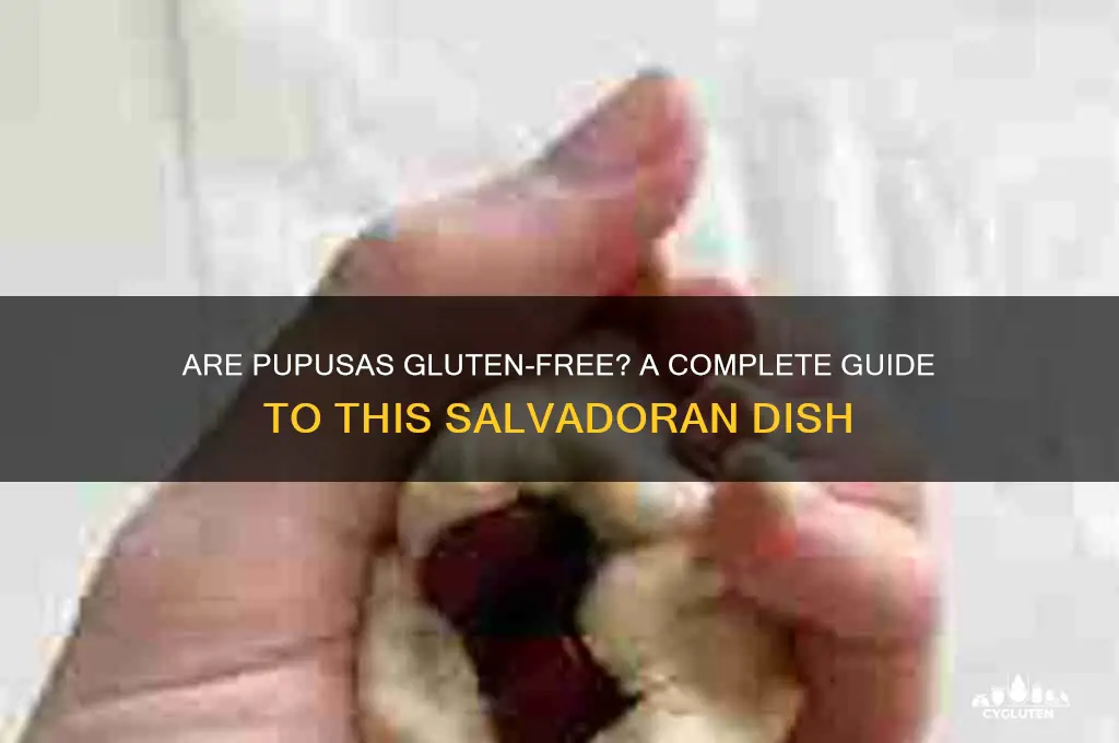 are pupusas gluten free