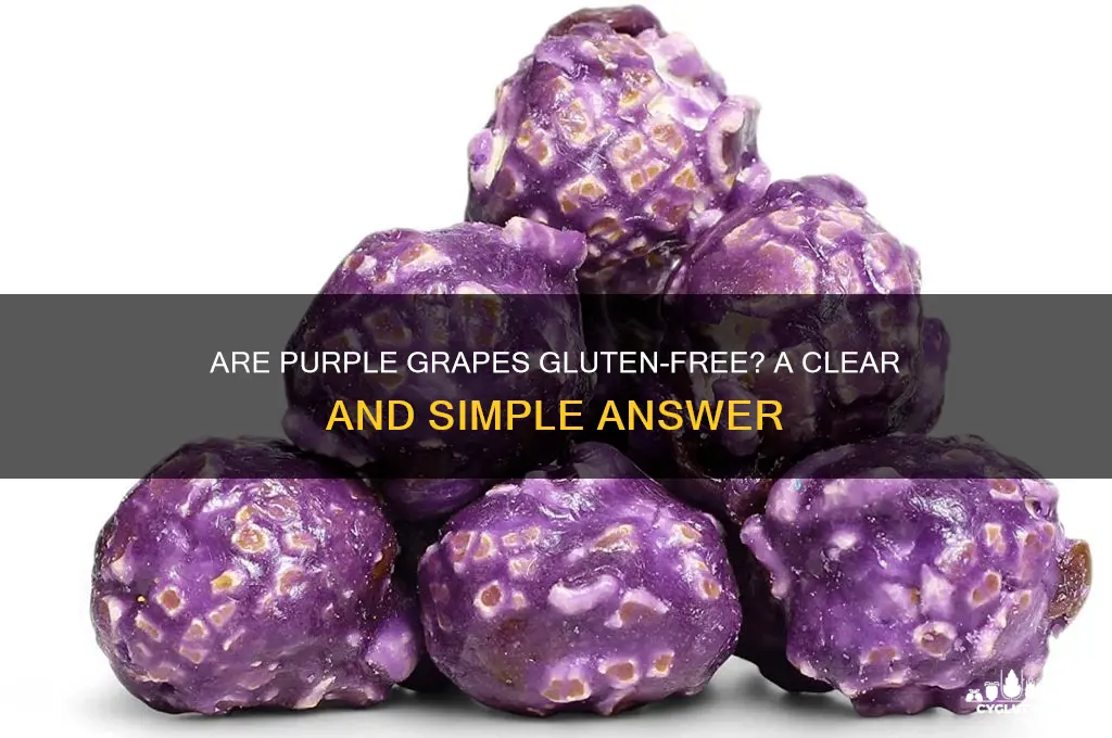 are purple grapes gluten free