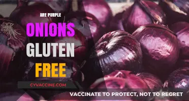 Are Purple Onions Gluten Free? A Clear and Simple Answer