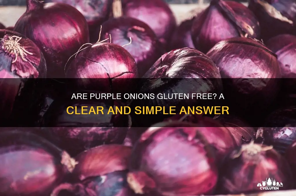 are purple onions gluten free