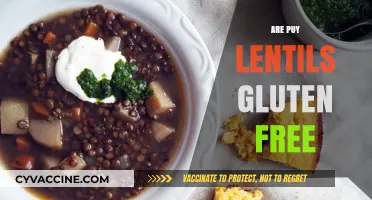 Are Puy Lentils Gluten-Free? A Comprehensive Guide for Celiacs