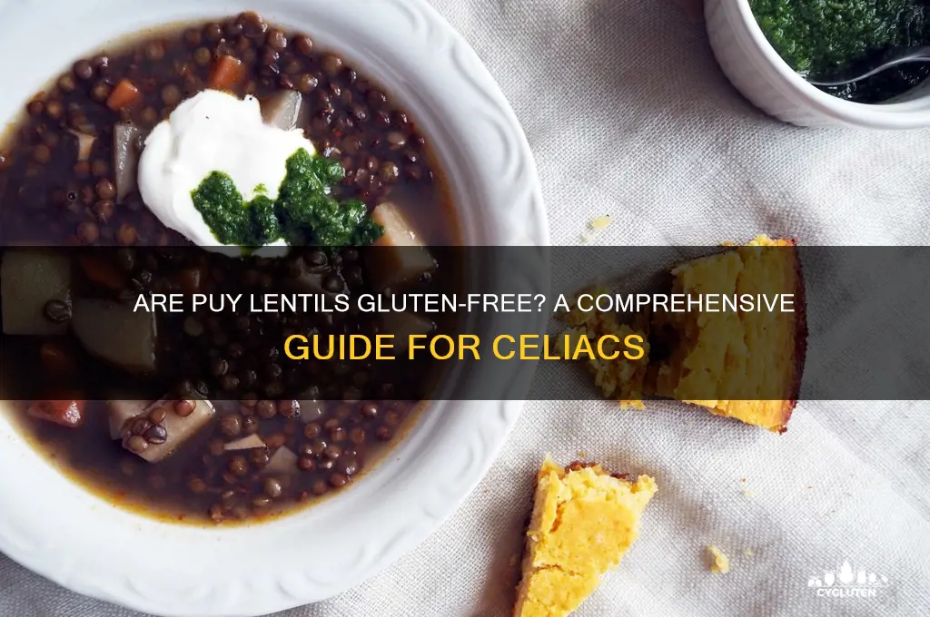 are puy lentils gluten free