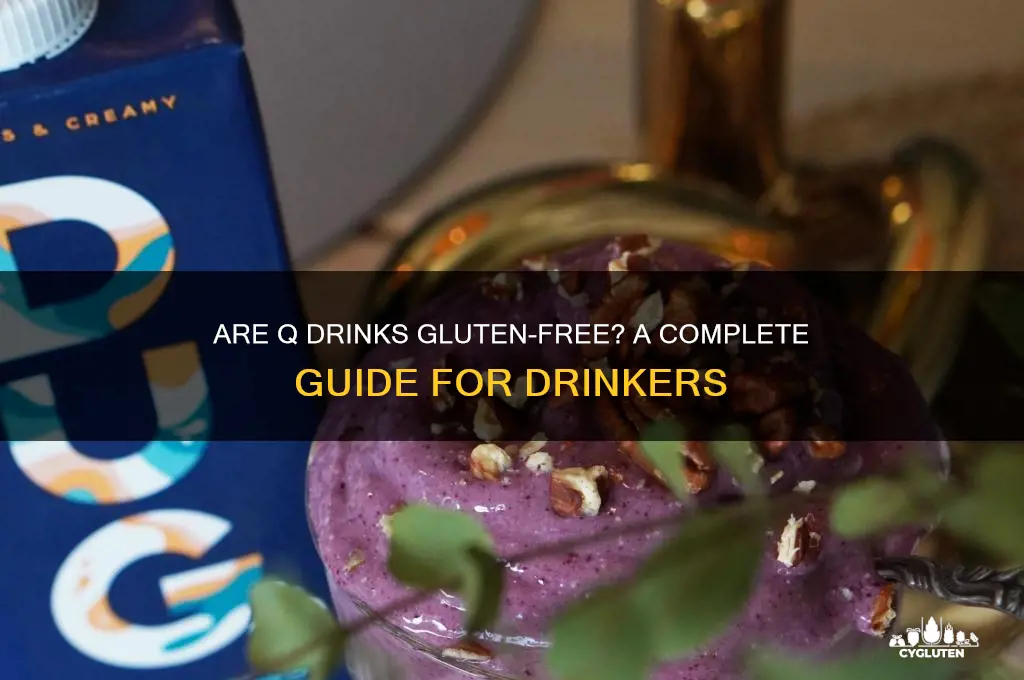 are q drinks gluten free