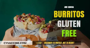 Are Qdoba Burritos Gluten-Free? A Complete Guide for Celiac Diners