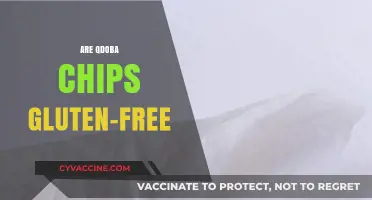 Are Qdoba Chips Gluten-Free? A Complete Guide for Celiac Diners