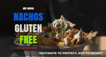 Are Qdoba Nachos Gluten-Free? A Crunchy Dietary Guide