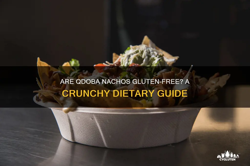 are qdoba nachos gluten free