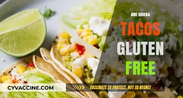 Are Qdoba Tacos Gluten-Free? A Complete Guide for Celiac Diners