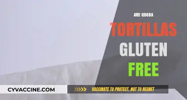 Are Qdoba Tortillas Gluten-Free? A Complete Guide for Diners