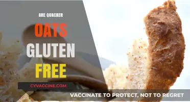 Are Quaker Oats Gluten-Free? Unraveling the Truth for Celiacs