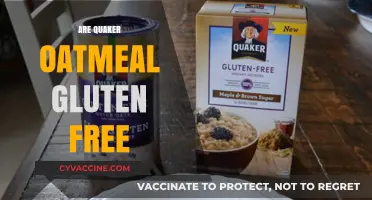 Is Quaker Oatmeal Gluten-Free? A Clear Answer for Celiacs