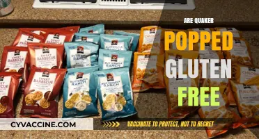 Are Quaker Popped Snacks Gluten-Free? A Complete Guide