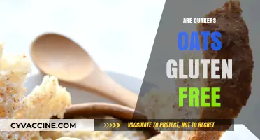 Are Quaker Oats Gluten-Free? A Clear Answer for Celiacs