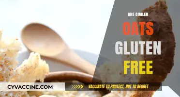 Are Quaker Oats Gluten-Free? Unraveling the Truth for Celiacs