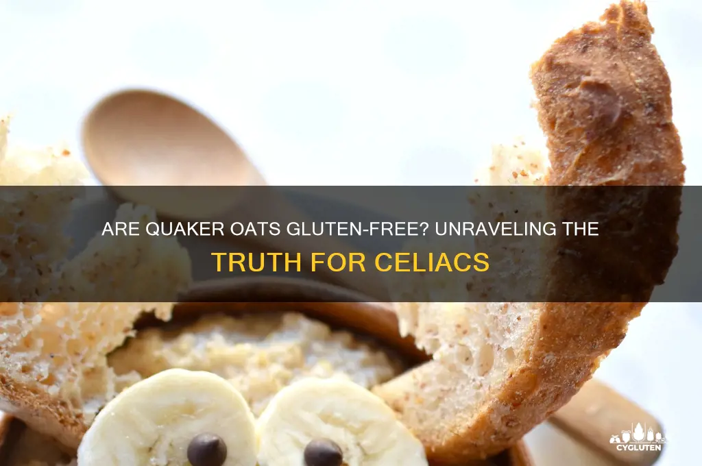 are qualer oats gluten free