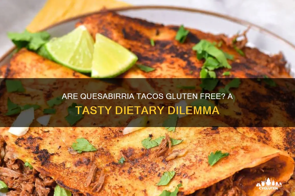 are quesabirria tacos gluten free