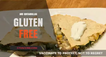 Are Quesadillas Gluten-Free? A Guide to Safe Ingredients and Preparation