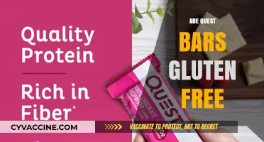 Are Quest Bars Gluten-Free? A Complete Guide to Ingredients and Safety