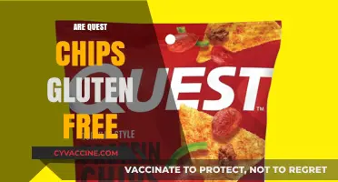 Are Quest Chips Gluten-Free? A Complete Guide to Ingredients