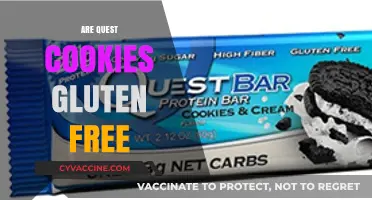 Are Quest Cookies Gluten-Free? A Complete Guide for Dieters