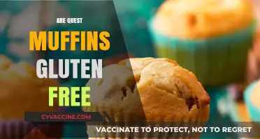 Are Quest Muffins Gluten-Free? A Complete Guide for Dieters