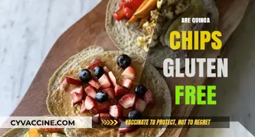 Are Quinoa Chips Gluten-Free? A Crunchy, Healthy Snack Guide
