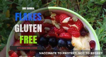 Are Quinoa Flakes Gluten-Free? A Complete Guide for Celiacs