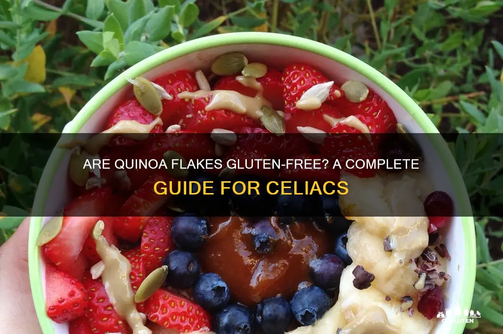 are quinoa flakes gluten free