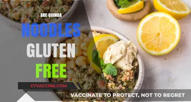 Are Quinoa Noodles Gluten-Free? A Complete Guide for Celiacs