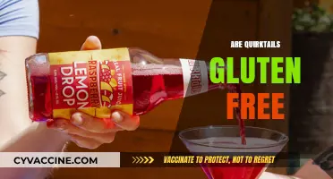 Are Quirktails Gluten-Free? A Complete Guide to Their Ingredients