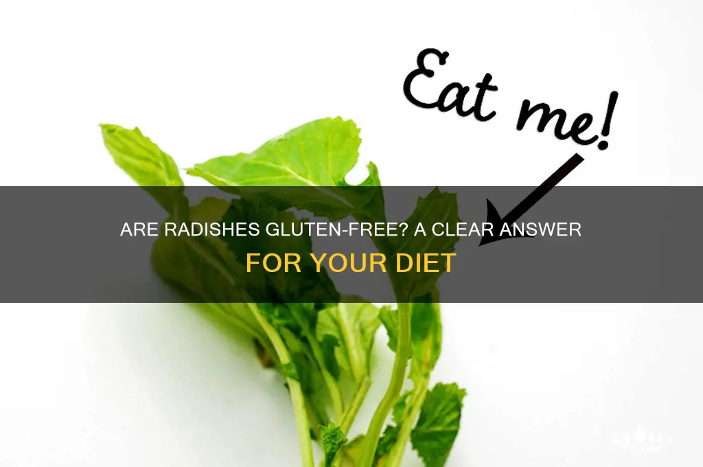 are radishes gluten free
