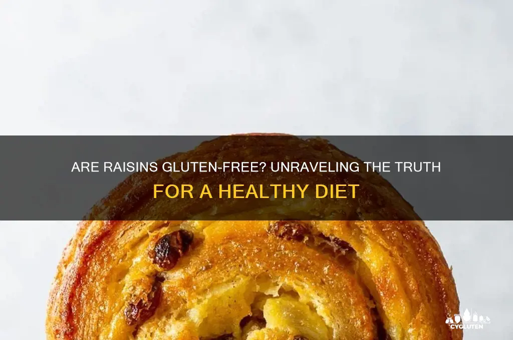 are raiains gluten free