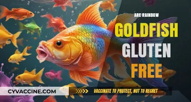 Are Rainbow Goldfish Gluten-Free? Uncovering the Snack's Ingredients