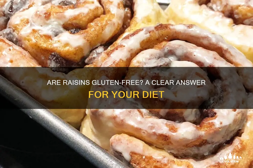 are raisens gluten free