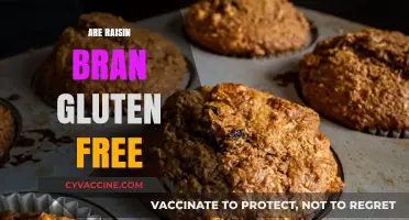 Is Raisin Bran Gluten-Free? A Comprehensive Guide for Celiac Diets