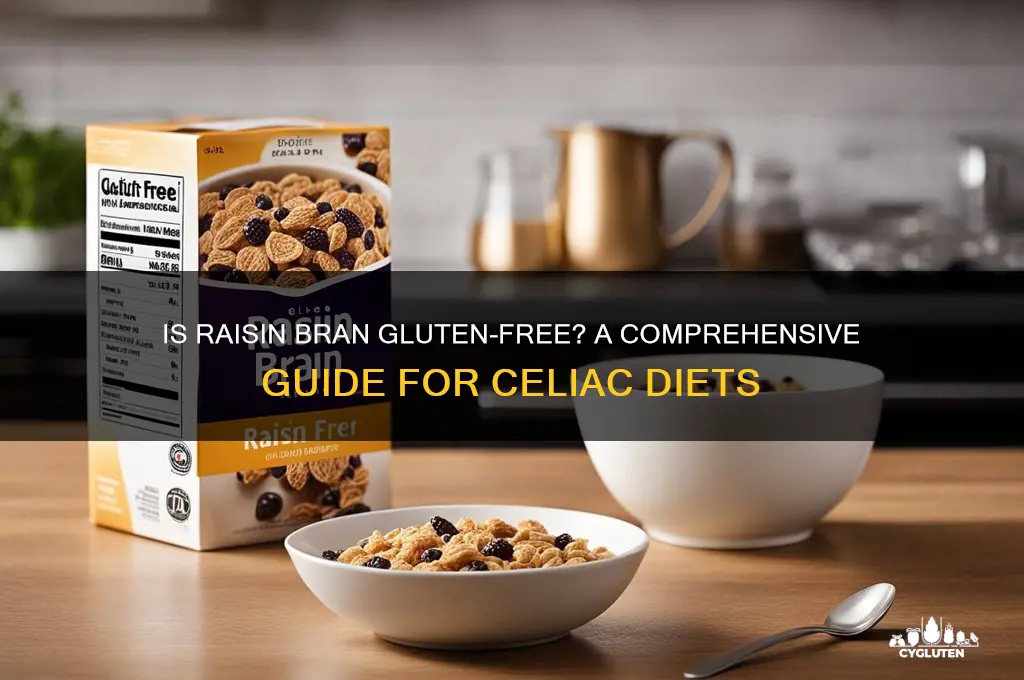 are raisin bran gluten free