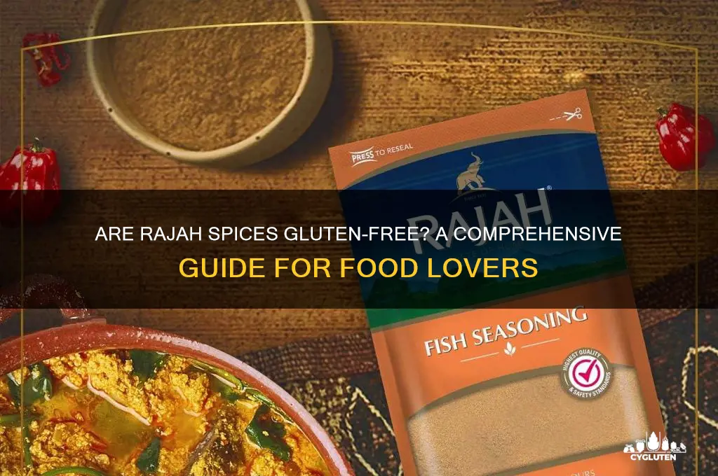 are rajah spices gluten free