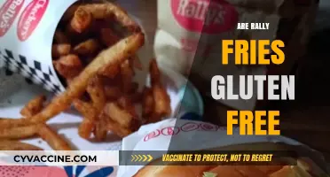 Are Rally's Fries Gluten-Free? A Comprehensive Guide for Celiac Diners