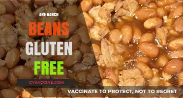 Are Ranch Beans Gluten-Free? A Comprehensive Guide for Celiac Diets