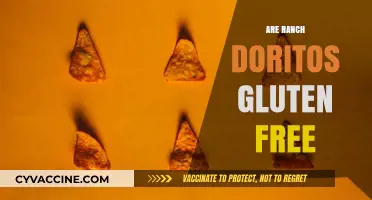 Are Ranch Doritos Gluten-Free? A Crunchy Snack Fact Check