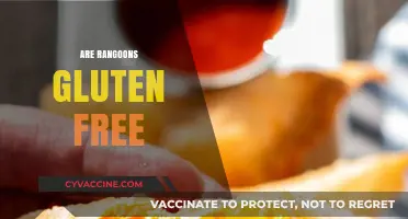 Are Rangoons Gluten Free? Uncovering the Truth About This Appetizer