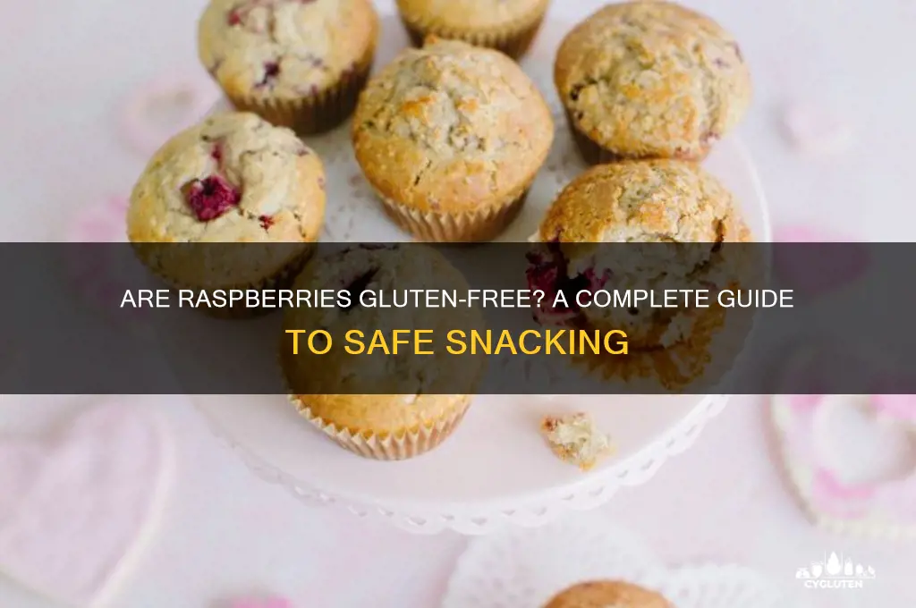 are raspberries gluten free