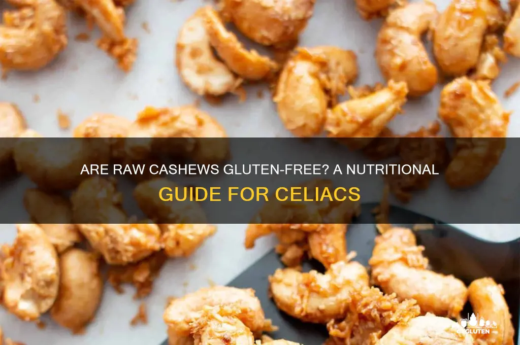 are raw cashews gluten free
